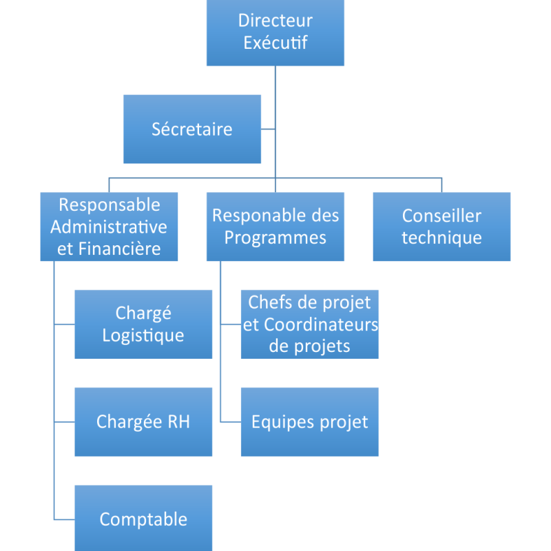 Organigramme3